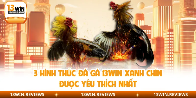 3 hình thức đá gà 13WIN xanh chín được yêu thích nhất