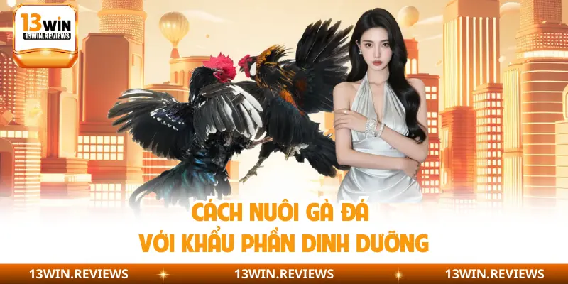 Cách nuôi gà đá với khẩu phần dinh dưỡng