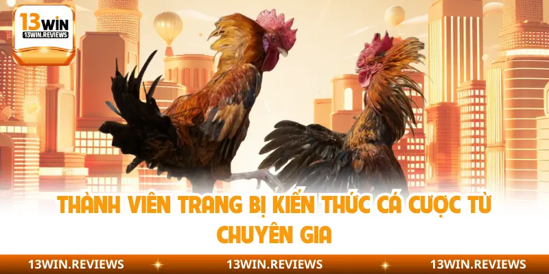 Thành viên trang bị kiến thức cá cược từ chuyên gia