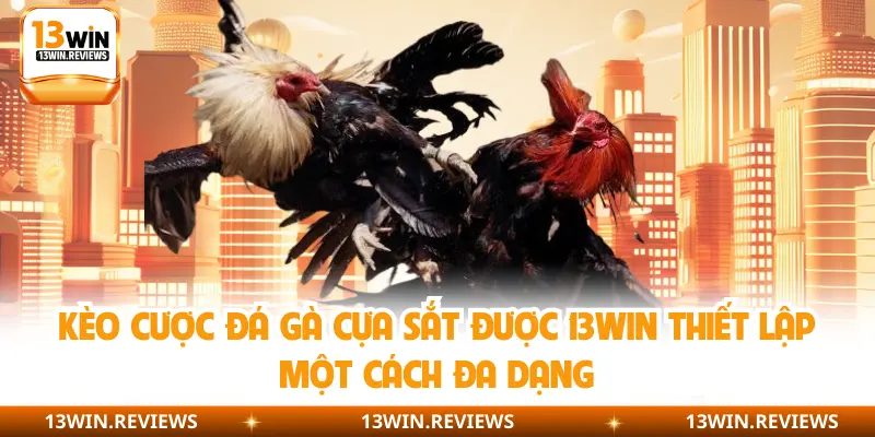 Kèo cược đá gà cựa sắt được 13WIN thiết lập một cách đa dạng