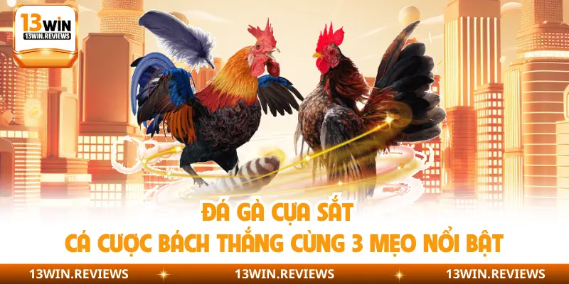 Đá Gà Cựa Sắt - Cá Cược Bách Thắng Cùng 3 Mẹo Nổi Bật