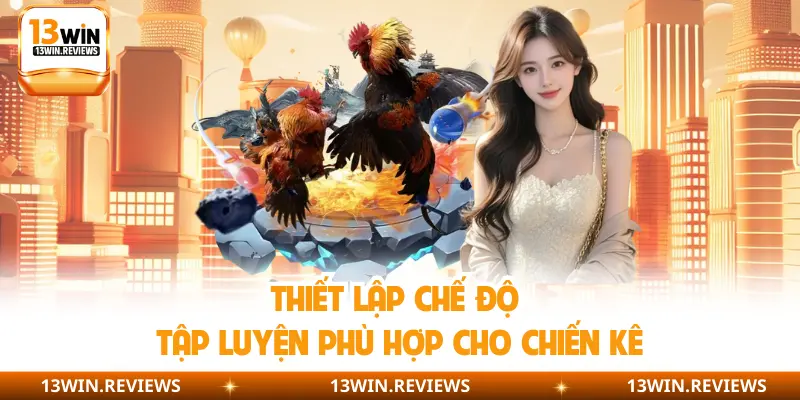 Thiết lập chế độ tập luyện phù hợp cho chiến kê