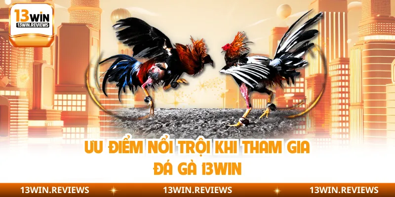 Ưu điểm nổi trội khi tham gia đá gà 13WIN