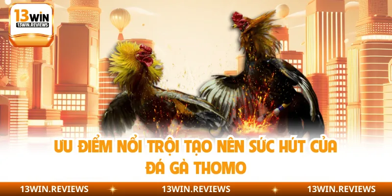 Ưu điểm nổi trội tạo nên sức hút của đá gà Thomo